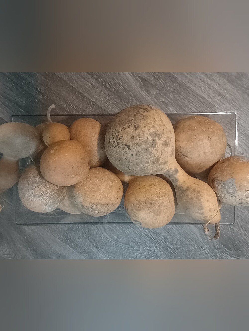 Decorative Natural Gourds, Neutral Beige, 2 For $5